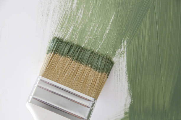 Trusted East Milton, FL Mold Removal Experts
