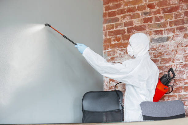 Best Mold Remediation for Healthcare Facilities  in East Milton, FL