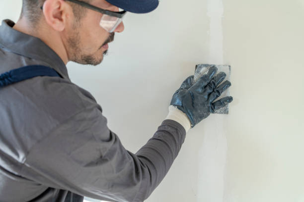 Biohazard Mold Removal in East Milton, FL