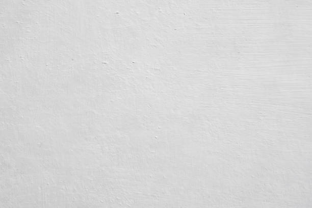 Best Mold Remediation for Rental Properties  in East Milton, FL